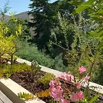 Appartement 2 Pieces Avec Terrasse Et Piscine - 4 Pers - Cannes - Fr-1-609-111