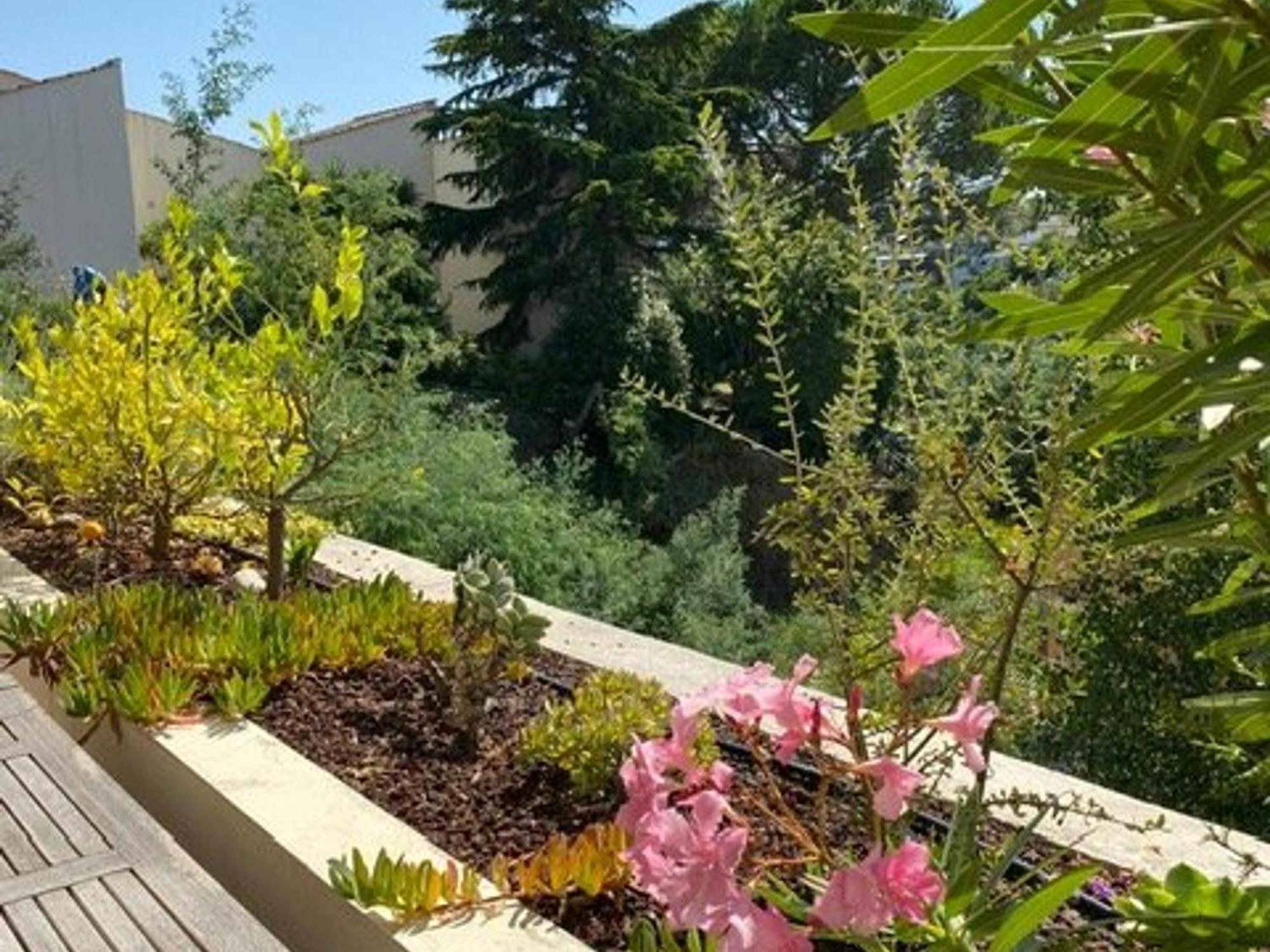 Appartement 2 Pieces Avec Terrasse Et Piscine - 4 Pers - - Fr-1-609-111 Cannes
